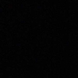 Meet your Posher, Benjamin